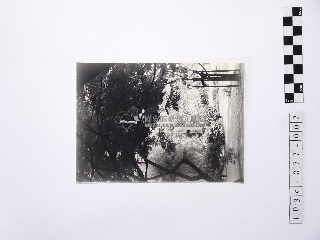 黃則修攝觀世音立像2藏品圖，第1張