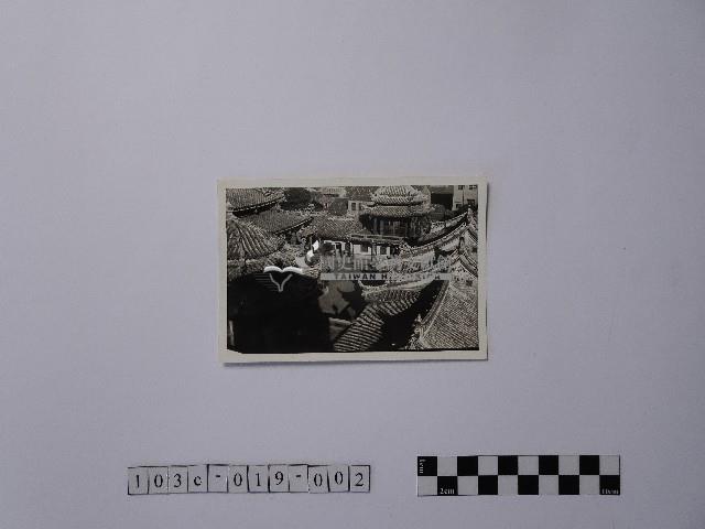 黃則修攝由屋頂俯瞰地面的照片藏品圖，第1張