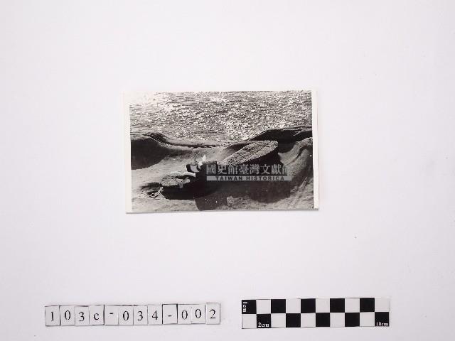 黃則修攝野柳地景仙女鞋藏品圖，第1張