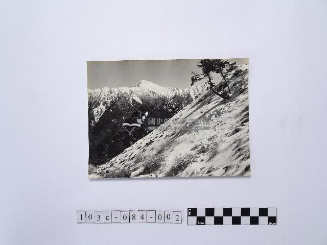 黃則修攝合歡雪坡與奇萊主峰藏品圖，第1張