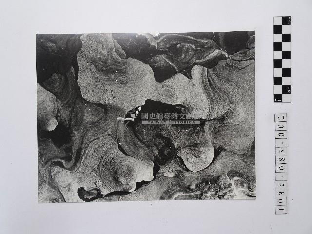 黃則修攝野柳地景風化紋2藏品圖，第1張