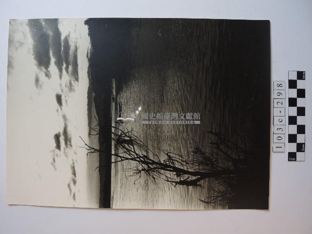 岸邊小船藏品圖，第1張