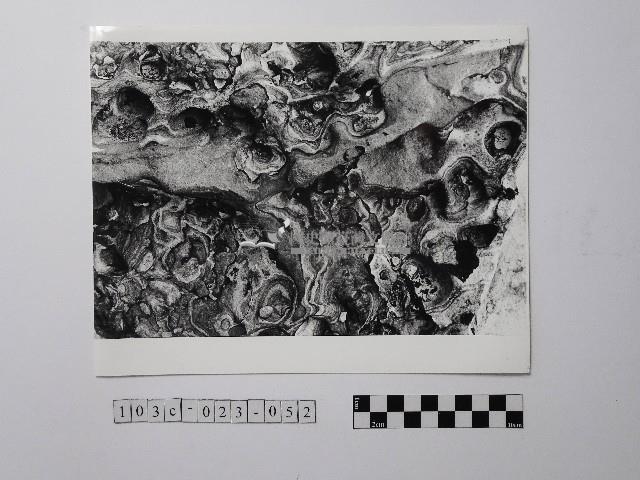 黃則修攝野柳地景風化紋藏品圖，第1張