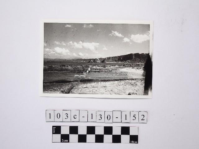 野柳地形藏品圖，第1張