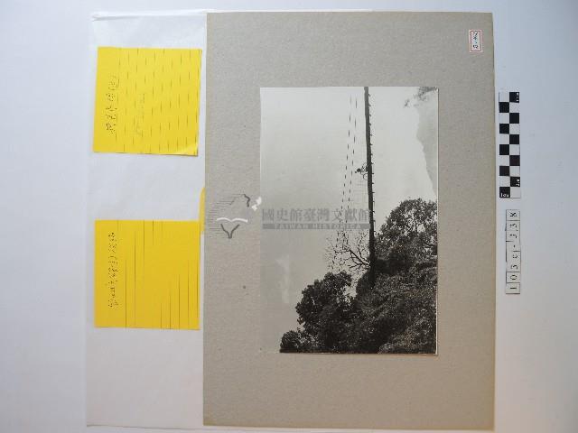 吊橋藏品圖，第1張