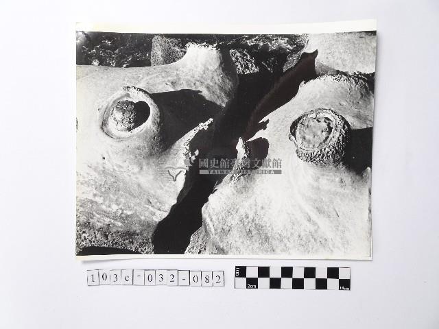 黃則修攝野柳地景藏品圖，第1張