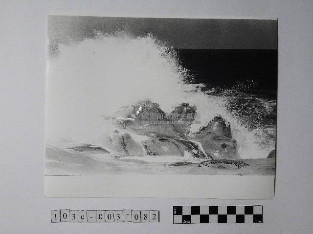 黃則修攝野柳地景藏品圖，第1張