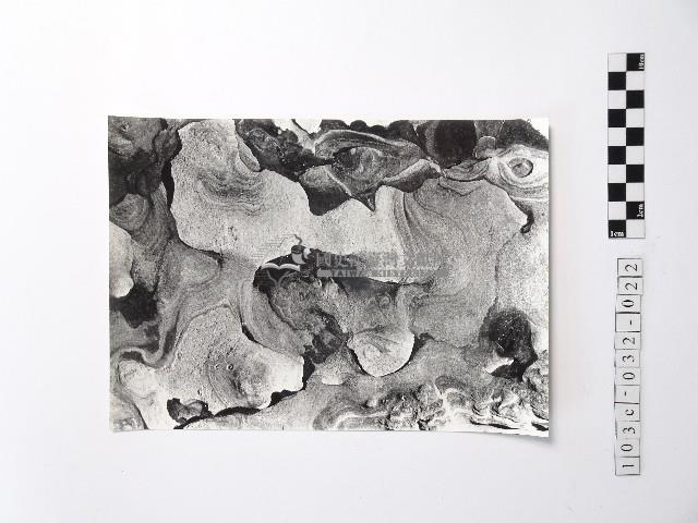 黃則修攝野柳地景藏品圖，第1張