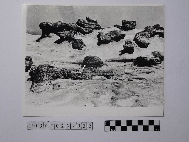 黃則修攝野柳地景藏品圖，第1張