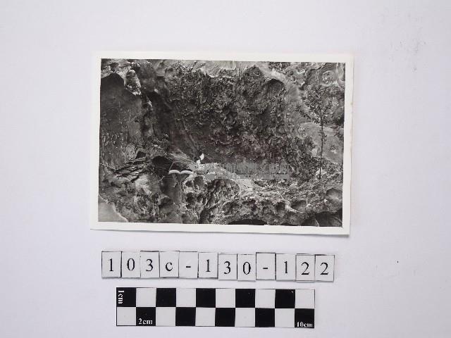 野柳地形藏品圖，第1張