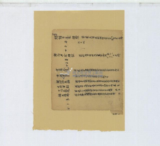 土庫大坪王家家族譜殘頁藏品圖，第1張