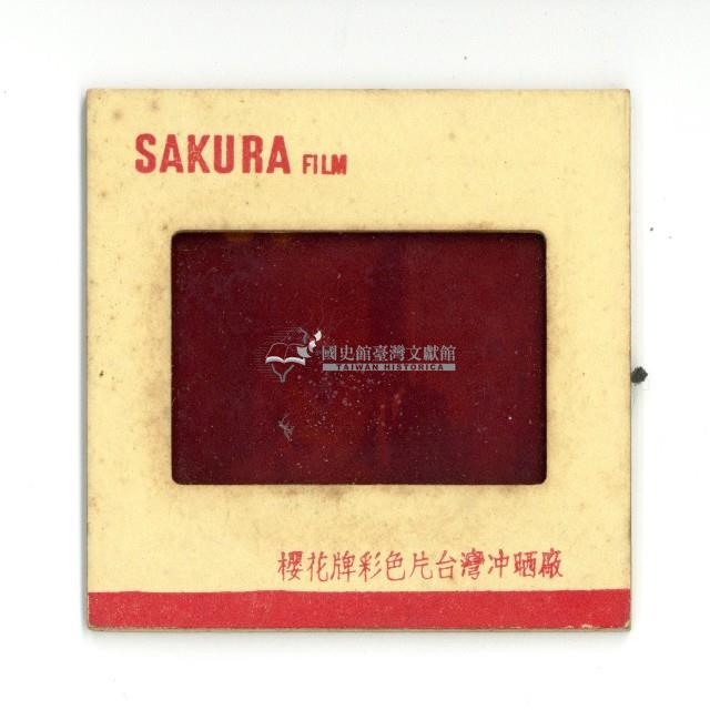 幻燈片之婚禮系列藏品圖，第10張