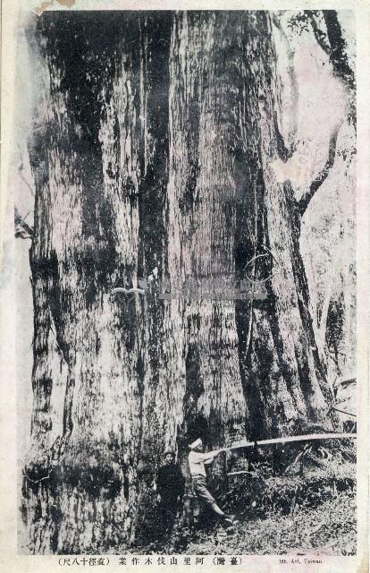 蔡敦波家族領收商界親友之邀請函與明信片組藏品圖，第221張