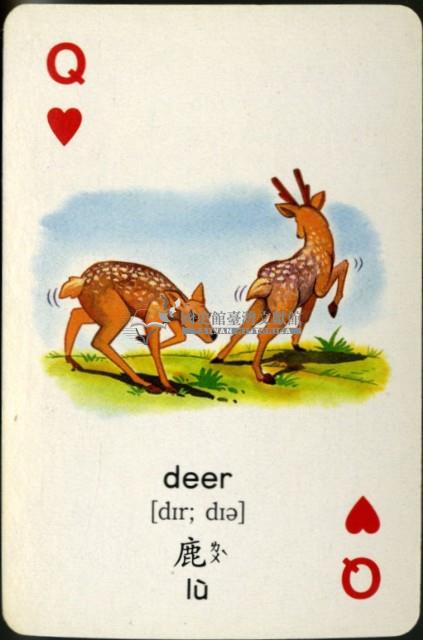 遠東英漢字典動物篇1撲克牌藏品圖，第4張