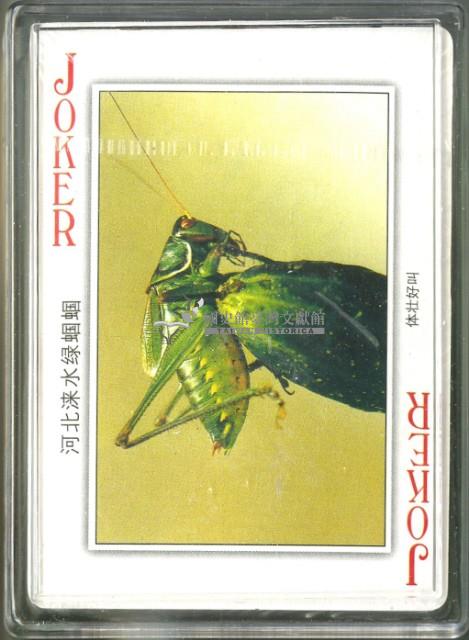 蟈蟈鑒賞圖撲克牌藏品圖，第4張