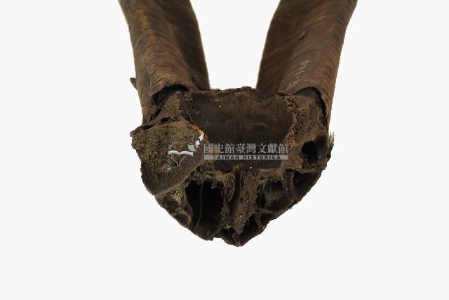 達悟族羊角藏品圖，第4張