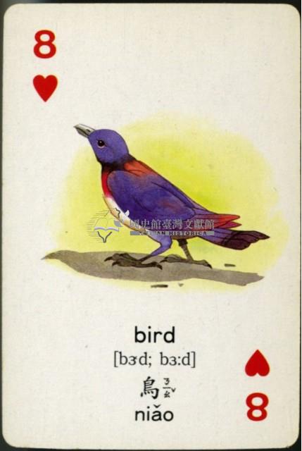 遠東英漢字典動物篇2撲克牌藏品圖，第4張