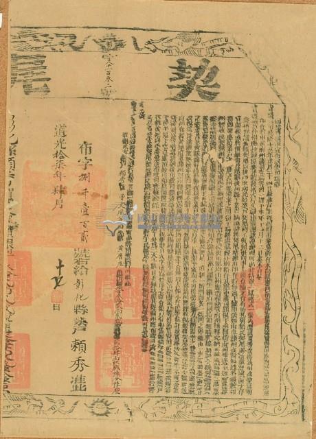 道光十四年曹文風等二人立杜賣盡根田契字（含契尾）藏品圖，第4張