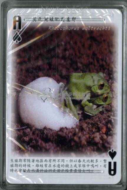 南路鷹工作室認識蛙類撲克牌藏品圖，第4張
