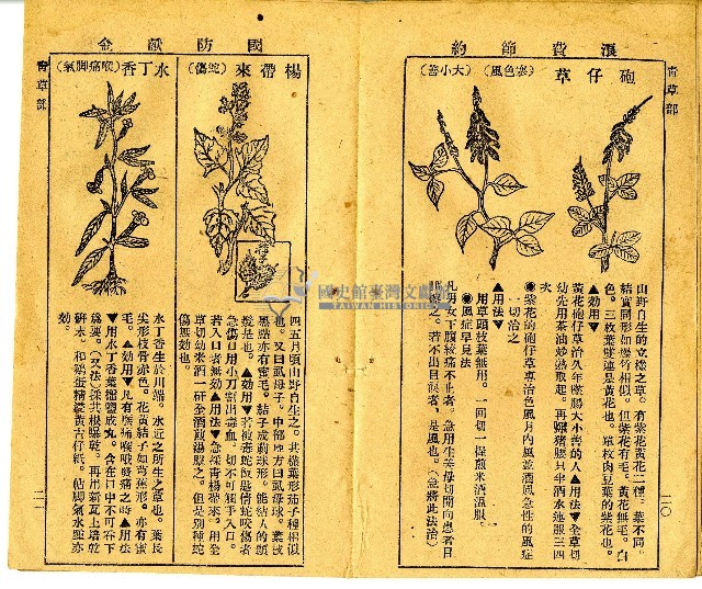 和漢草名對照表藏品圖，第4張