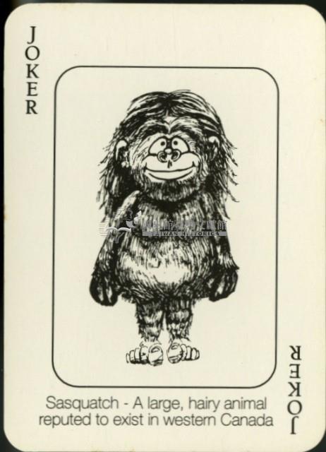 發現加拿大的野生動物英文字樣撲克牌藏品圖，第4張