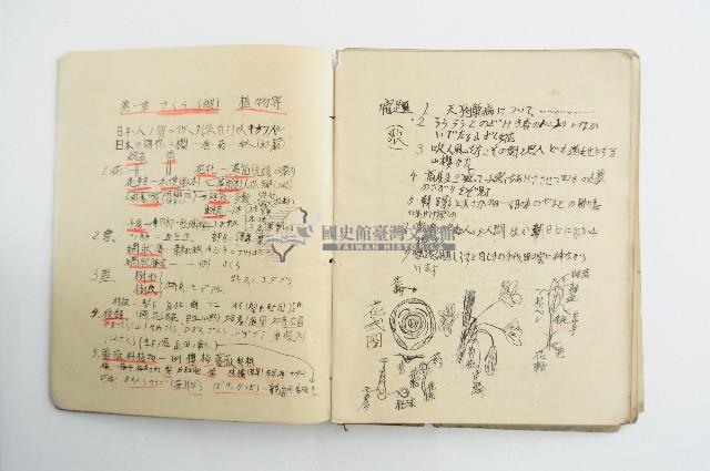 王博文之自然科學筆記藏品圖，第4張