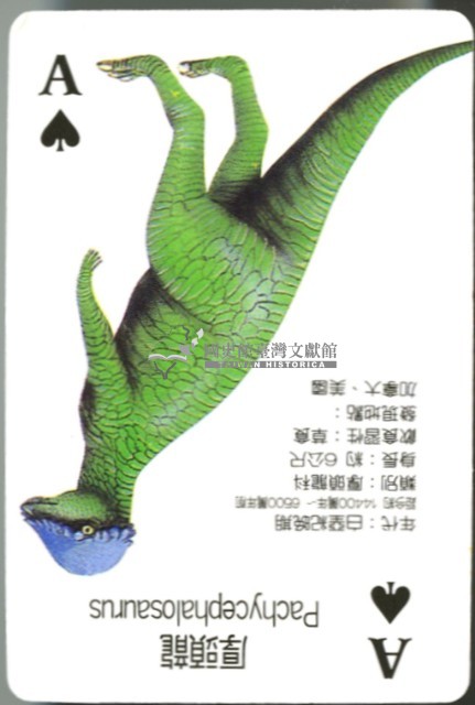 恐龍2撲克牌藏品圖，第4張