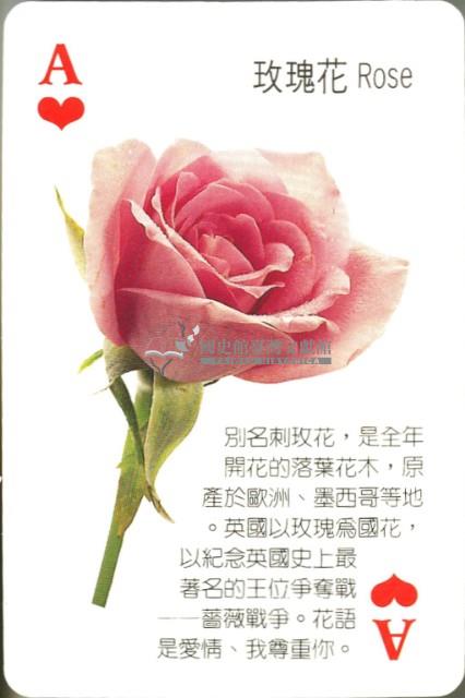 花卉蔬果撲克牌藏品圖，第4張