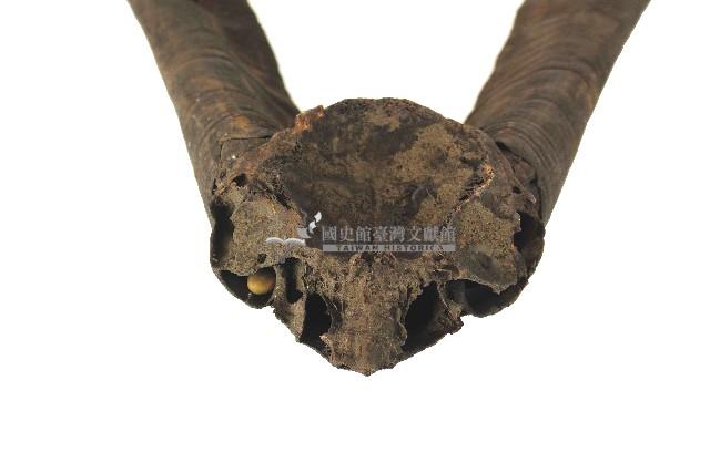 達悟族羊角藏品圖，第4張