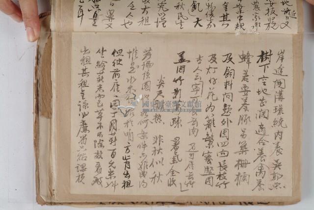怡萱堂文書集冊藏品圖，第14張