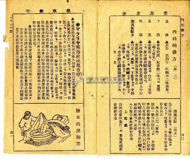 和漢草名對照表藏品圖，第14張