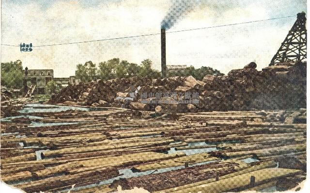 蔡敦波家族領收商界親友之邀請函與明信片組藏品圖，第224張