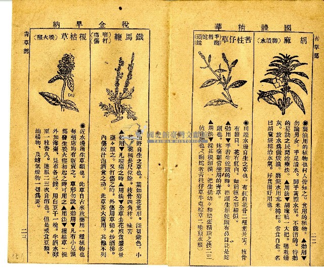 和漢草名對照表藏品圖，第5張