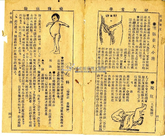 和漢草名對照表藏品圖，第15張