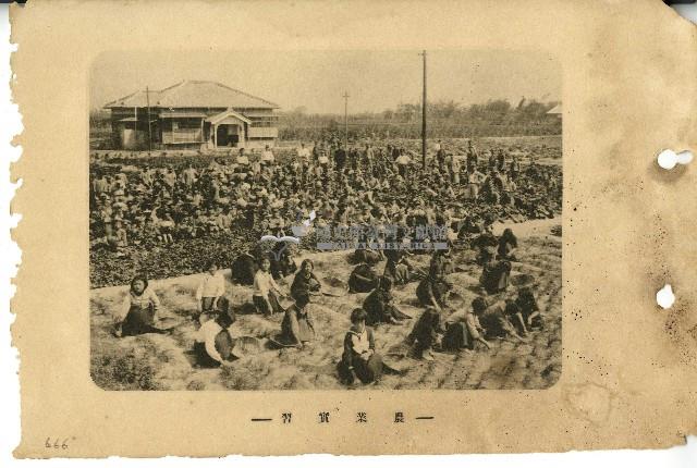 昭和十六年北門郡學甲公學校畢業紀念簿藏品圖，第15張