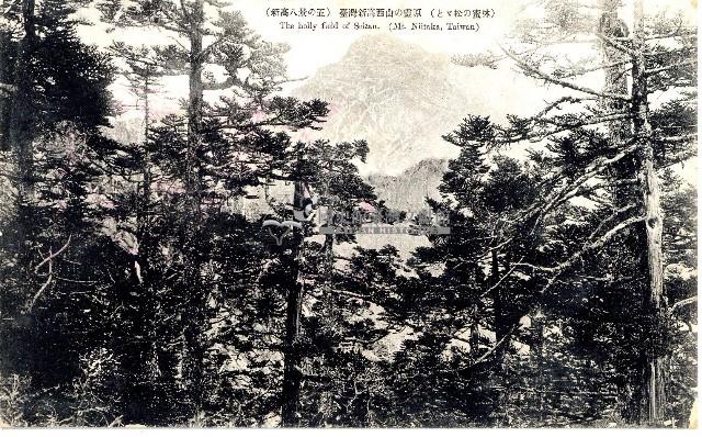 蔡敦波家族領收商界親友之邀請函與明信片組藏品圖，第225張