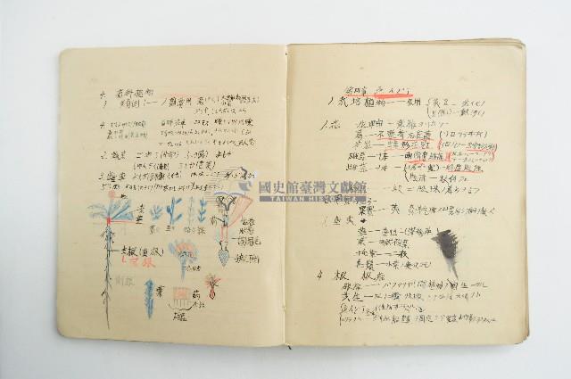 王博文之自然科學筆記藏品圖，第8張