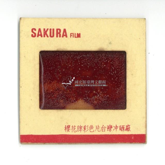 幻燈片之婚禮系列藏品圖，第17張