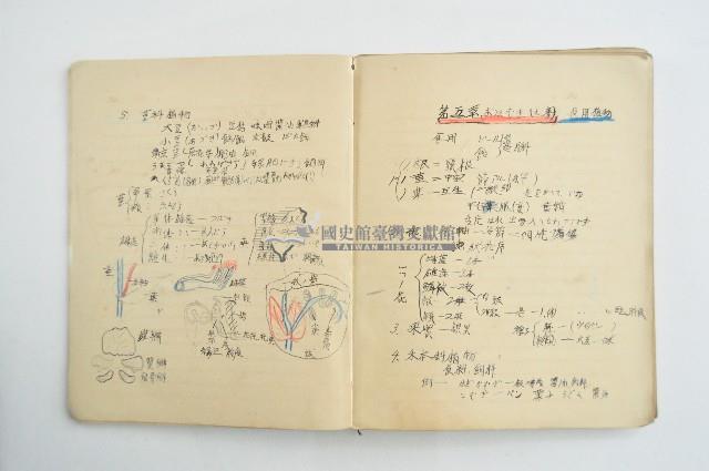 王博文之自然科學筆記藏品圖，第9張