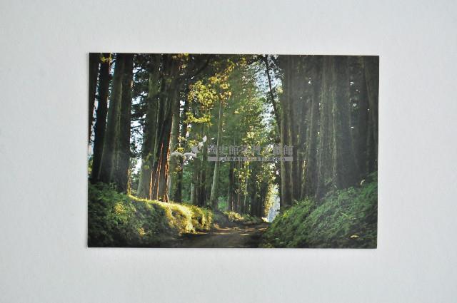 東京一周明信片組藏品圖，第19張