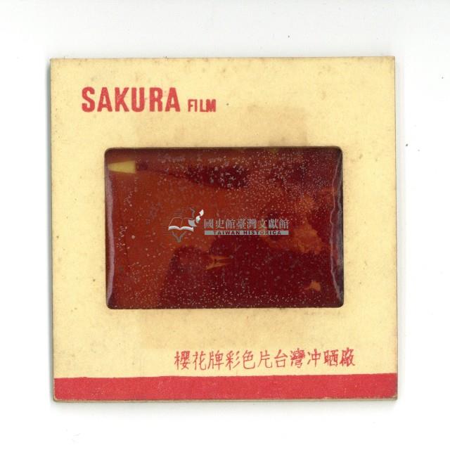 幻燈片之婚禮系列藏品圖，第18張