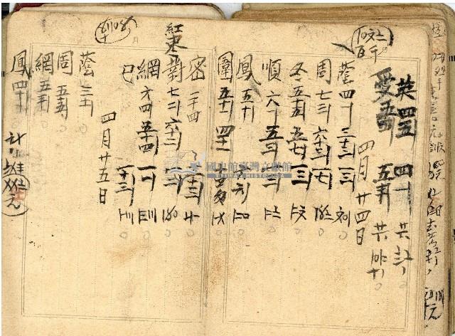 日治時期帳簿藏品圖，第42張