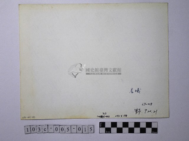 黃則修攝野柳地景燭臺石藏品圖，第2張