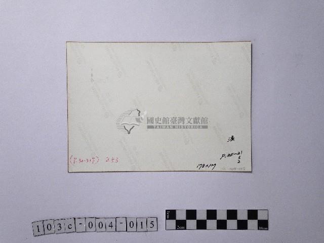 黃則修攝陽明山後山區的梯田藏品圖，第2張