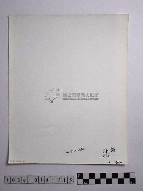 黃則修攝野柳地景藏品圖，第2張