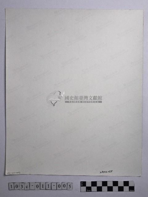 黃則修攝櫻花樹下賞櫻人群藏品圖，第2張