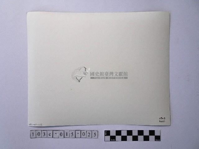 黃則修攝開花的樹木藏品圖，第2張