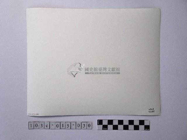 黃則修攝開花的樹木藏品圖，第2張