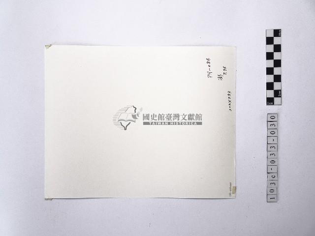 黃則修攝澎湖縣花天人菊藏品圖，第2張