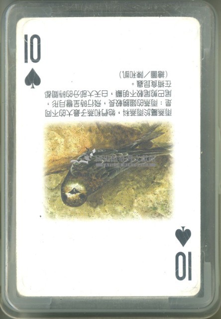 泛亞文化小藍鯨生態繪本撲克牌1藏品圖，第2張